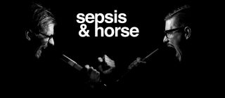 sepsis und horse