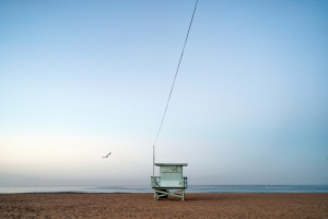 Endless_Summer Endless_Summer
