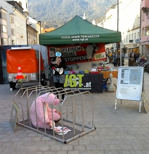 Kultur_und_Tierrechte Kultur_und_Tierrechte