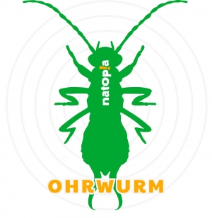 natopia_Ohrwurm natopia_Ohrwurm