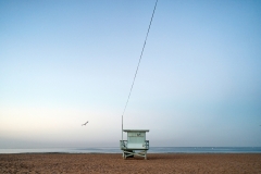 Endless_Summer