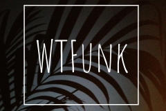 whatthefunk2