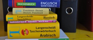 Mehrsprachigkeit und Integration